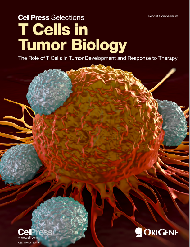 T Cells in Tumor Biology